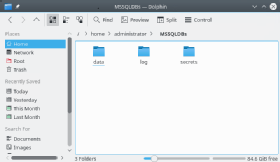 A SQL Server database directory on a Docker host system