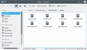 A SQL Server database directory's data folder on a Docker host system