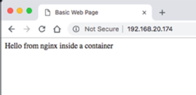 The Docker container works.