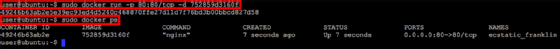 Docker run and Docker ps commands