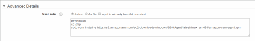 This script downloads and installs the SSM agent when creating an instance.