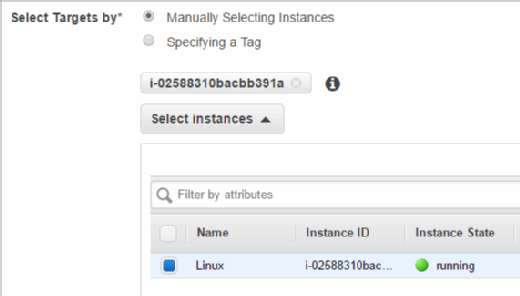 EC2 instances must run the SSM agent and have IAM permissions to run the script.