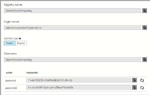 Review the Azure Container Registry access details.