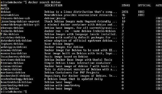 The results of a Docker search command.