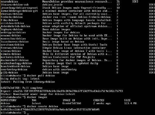 The Debian container has now been created.