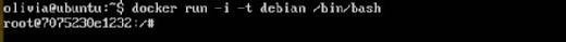 The Debian container has been installed and works in the system.