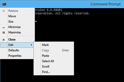 copy text on command window