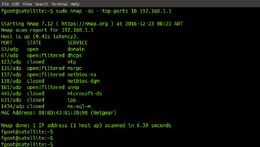 Scannen der Top-Ports mit Nmap.
