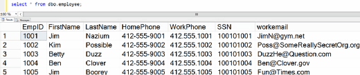 Figure 14. Verifying data in Azure SQL Database.