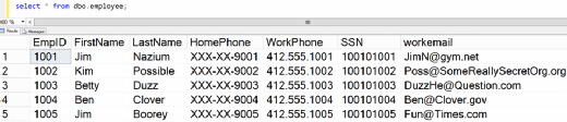 Figure 16. The employee table with the masking rule for HomePhone applied.