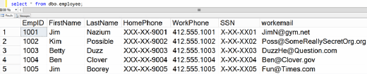 Figure 18. The employee table with the social security number masking rule applied.