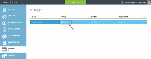Figure 3: Showing online status after creating a storage account