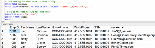 Figure 5. The employee table with a mask for HomePhone.