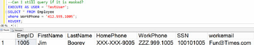 Figure 7. Search query on masked data.