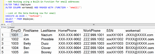 Figure 9. Employee table with masks for HomePhone, WorkPhone, SSN and workemail.