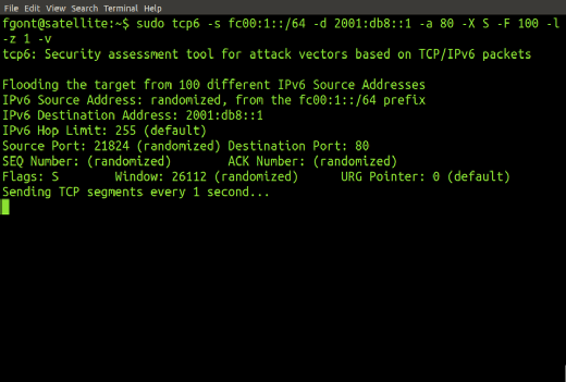 SI6 Networks' IPv6 Toolkit's tcp6 tool.
