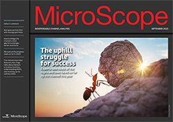 MicroScope: Channel pushes on against the odds