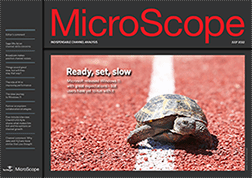 MicroScope: The slow march to Windows 11