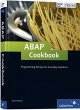 ABAP Cookbook: Programming Recipes for Everyday Solutions
