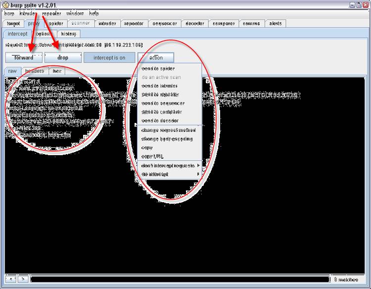 burp suite tutorial part 2