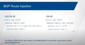 BGP route injection for IOS, IOS XE and IOS XR IPv4