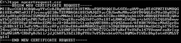 Contents of the .CSR file