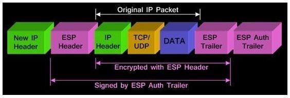 Ein IP-Paket ist komplett durch das IPsec-Tunnelmodus-Protokoll geschützt.