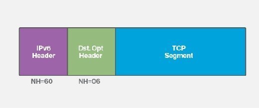 Packet that is a TCP segment.