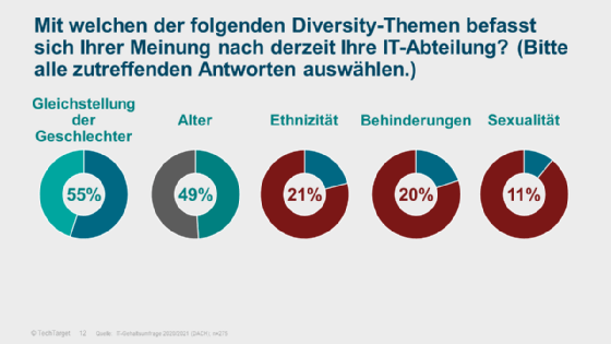 Abbildung 1: Zu den wichtigsten Themen in Sachen Diversität gehören noch immer Gleichberechtigung und Alter.