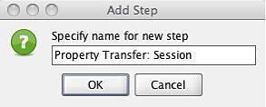 Figure 19: Naming the Property Transfer.