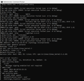 Nmap versucht, die vorhandene Software auf dem Client im Netzwerk zu erkennen und Daten auszulesen.