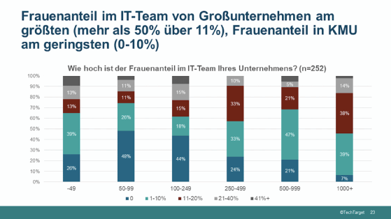 Der Gesamtfrauenanteil in IT-Teams liegt unter 20 Prozent.
