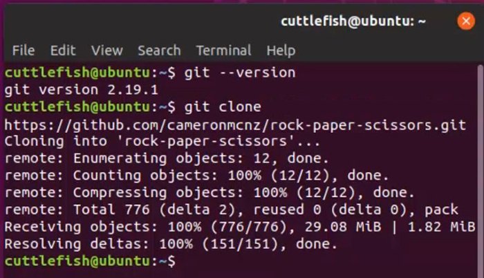 python git clone