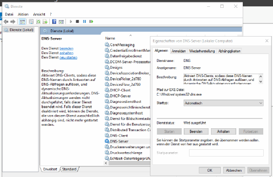 Abbildung 5: Zugriff auf die DNS-Server-Einstellungen aus der Dienste-Konsole.