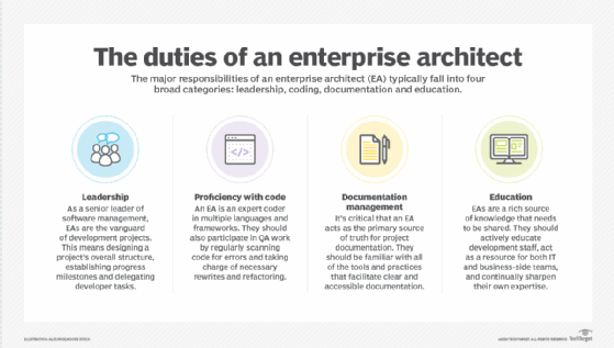 What are the roles and responsibilities of software architect