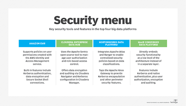 Data security features in big data platforms