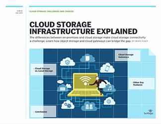 Cloud storage challenges and choices