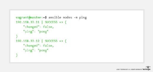 Ping Vagrant nodes with Ansible
