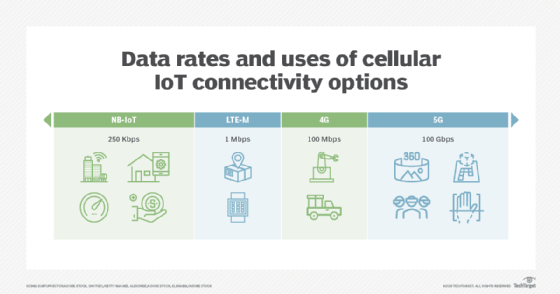 Connectivity Options and Accessories