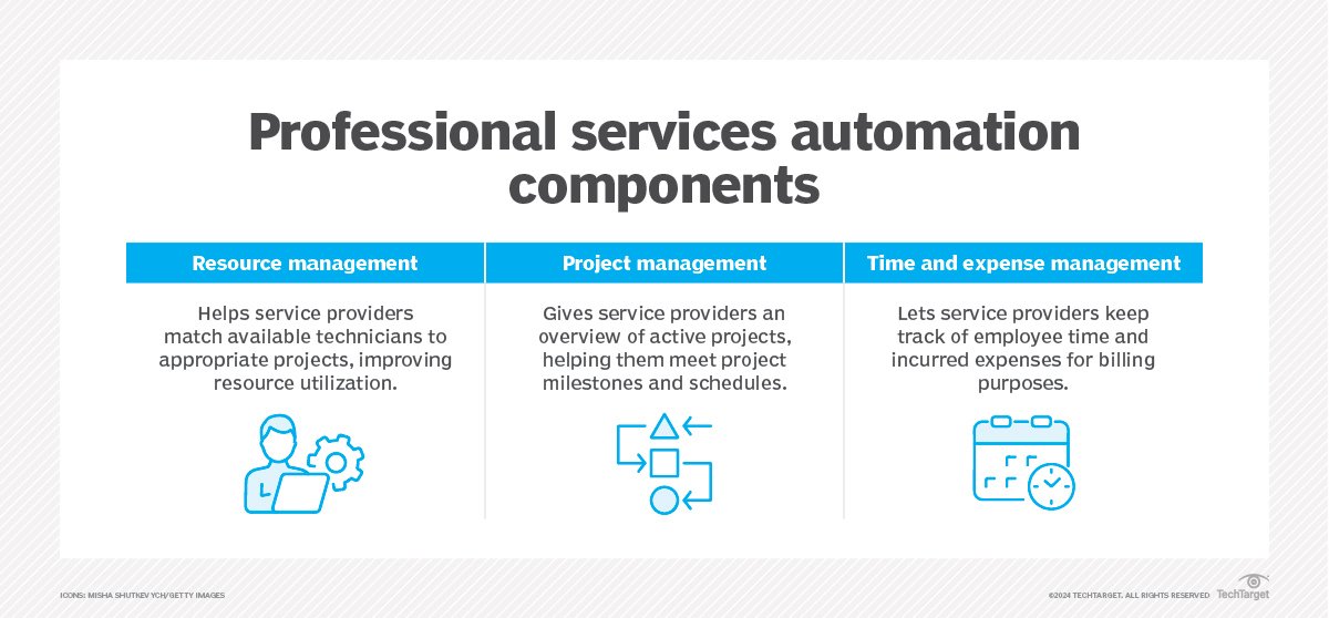 What Is Professional Services In Software