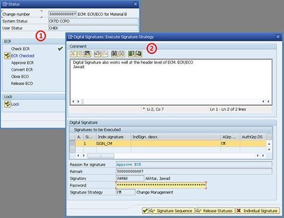 SAP-C01 PDF Testsoftware