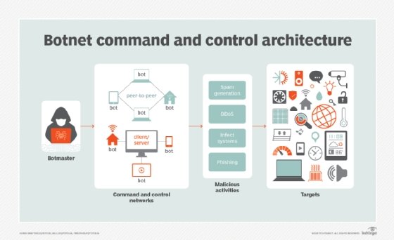 Structure de commande et de contrôle du botnet