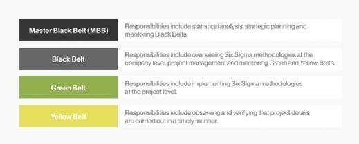 ranking of six sigma belts