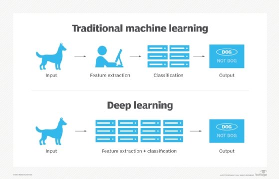 What Is Blackbox Machine Learning - How Does It Work?