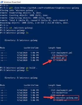 Abbildung 1: Beim erfolgreichen Durchführen der Schritte in dieser Anleitung, erstellen Sie eine ausführbare Datei namens microsvc-golang.exe.