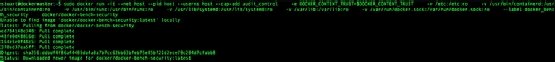 Installing Docker Bench for Security via the command line.