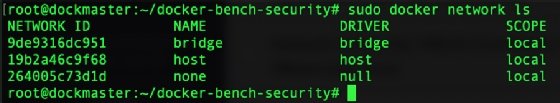 Docker bridge network setup.