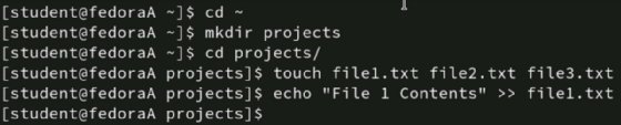 Linux screenshot showing commands to create scenario files.
