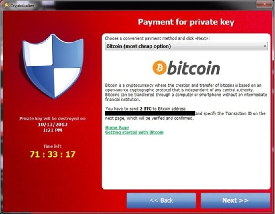 Screenshot of CryptoLocker's Bitcoin payment page