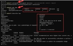 Abbildung 4: In unserem Beispiel ist die CPU des Pods weniger als 50 Prozent ausgelastet und HPA fügt deshalb keine neuen Replikate hinzu.